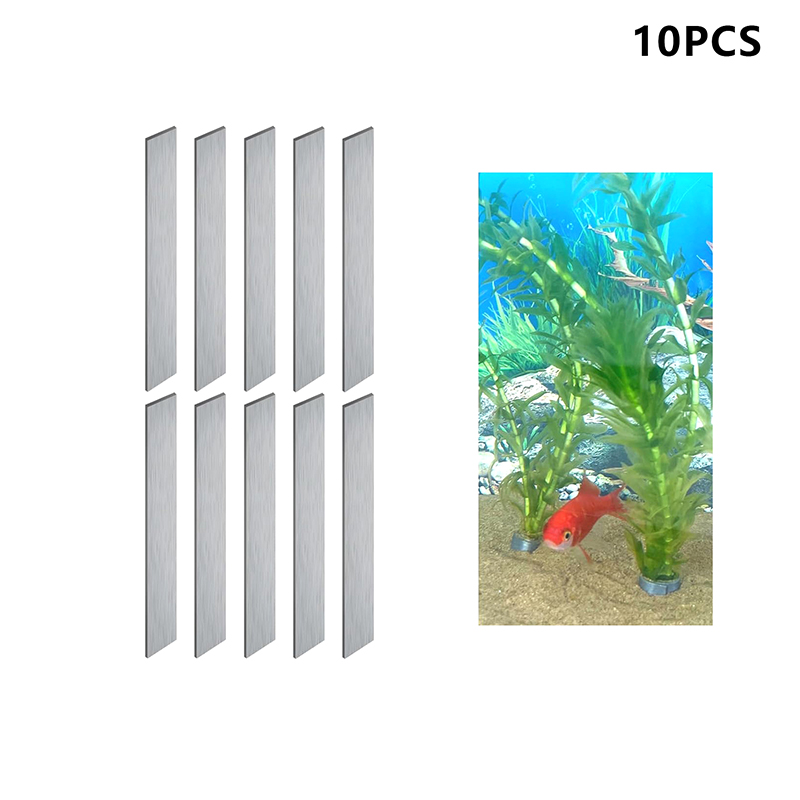 عرض جديد: 10 قطع من أوزان النب - مراجعة Aquarium Plants For Sale وسعره