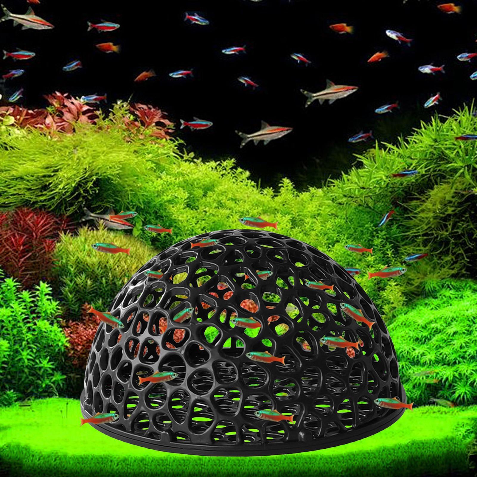 حوض السمك الروبيان إخفاء حوض ا - مراجعة Aquarium Planted Seeds وسعره