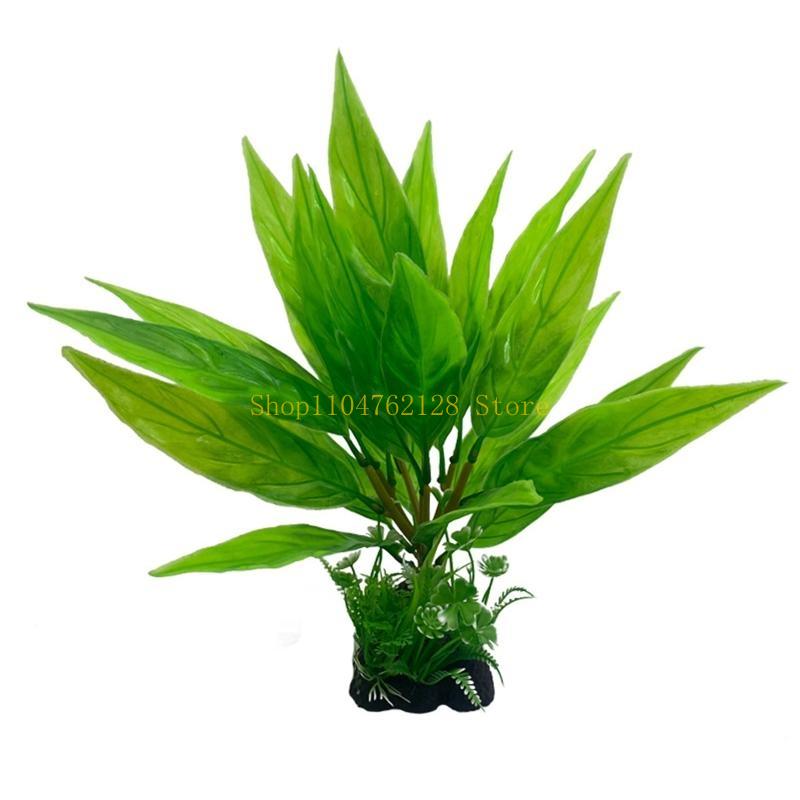 حوض السمك النباتات المائية الب - مراجعة Aquarium Plants For Sale وسعره