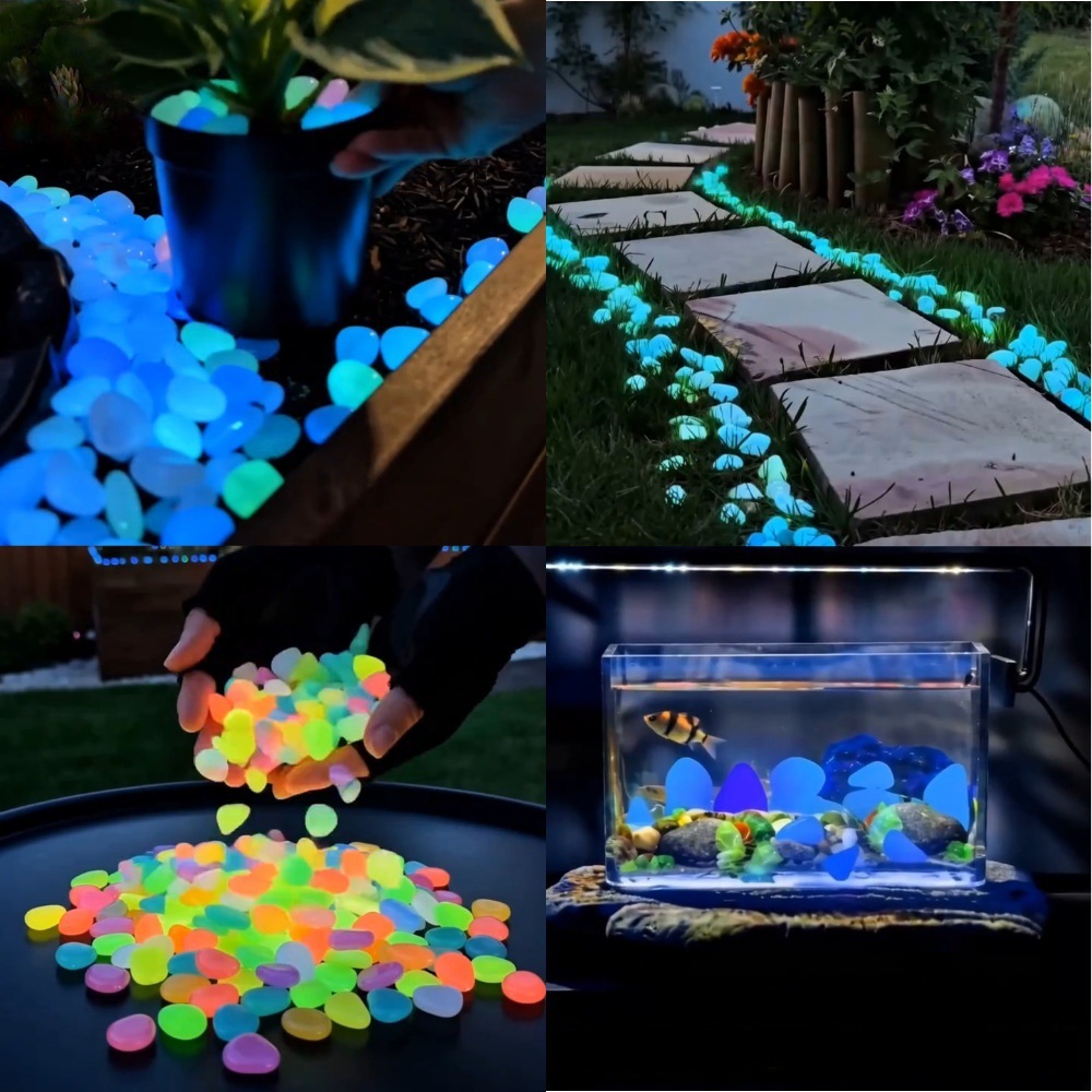 حصى ملونة مضيئة في الظلام لتزي - مراجعة Aquarium Planted Fish Tank وسعره