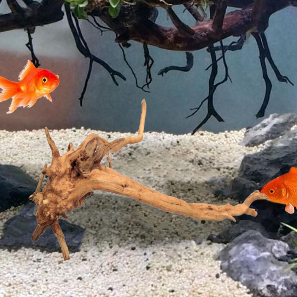 شجرة طبيعية جذع حوض السمك الدي - مراجعة Planted Aquarium Media وسعره