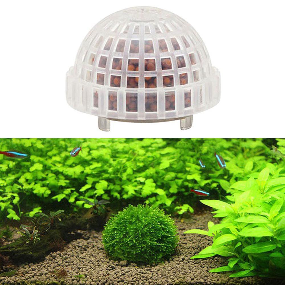 1/2/3/4/5 قطع نباتات زينة للأح - مراجعة Planted Aquarium Moss وسعره
