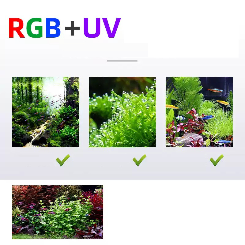 Led الإضاءة 60 سنتيمتر 80 سنتي - مراجعة Aquarium Plants For Sale وسعره