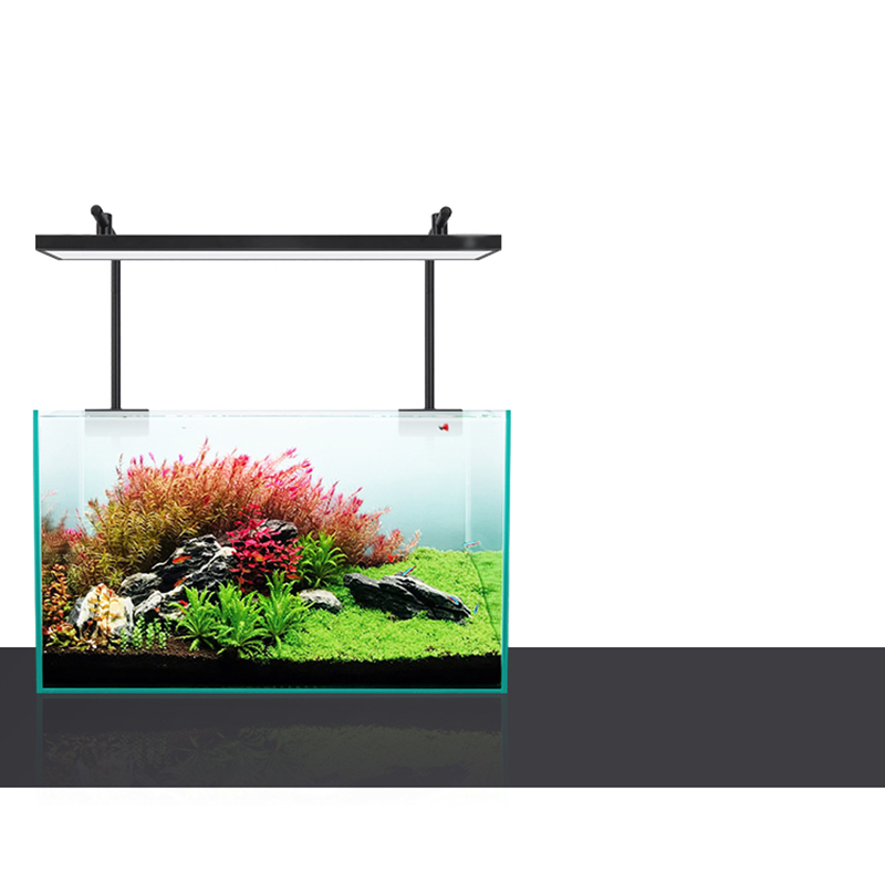 Led الإضاءة 60 سنتيمتر 80 سنتي - مراجعة Aquarium Plants For Sale وسعره