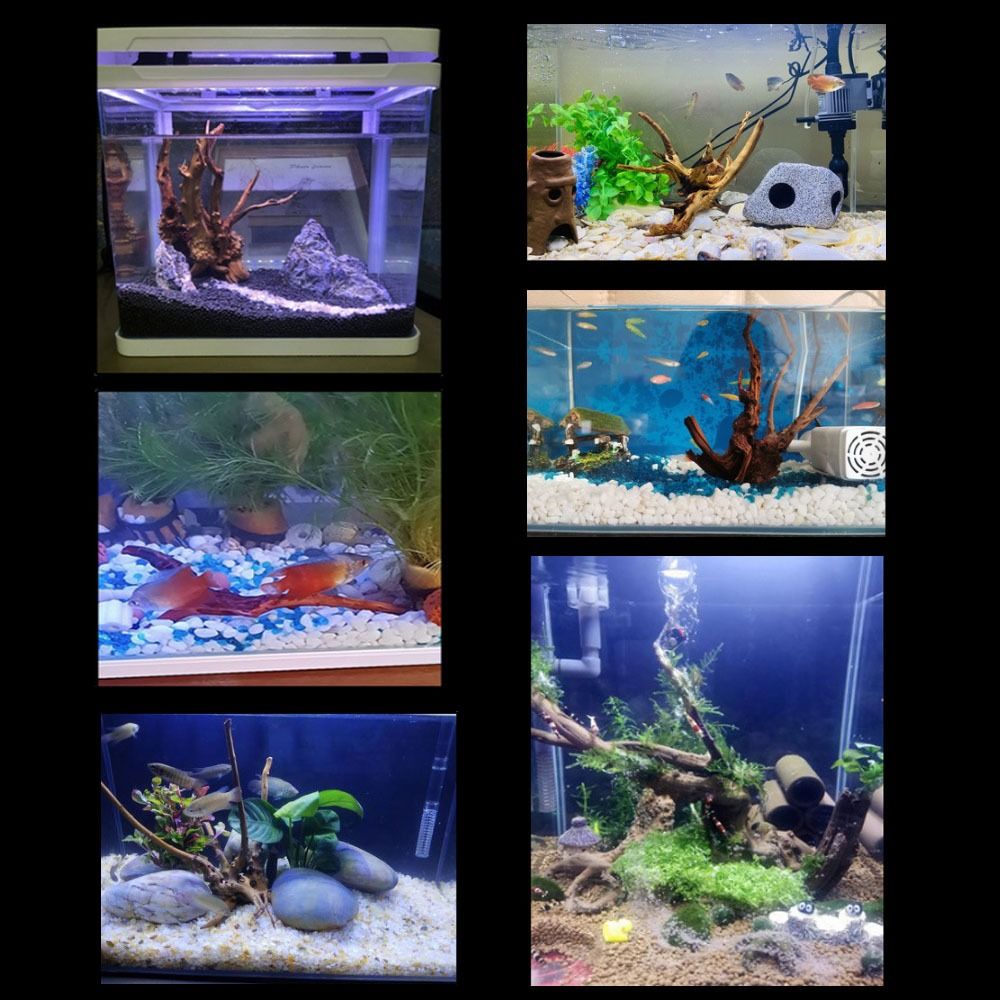 خشب عائم طبيعي كبير لحوض السمك - مراجعة Planted Aquarium Media وسعره