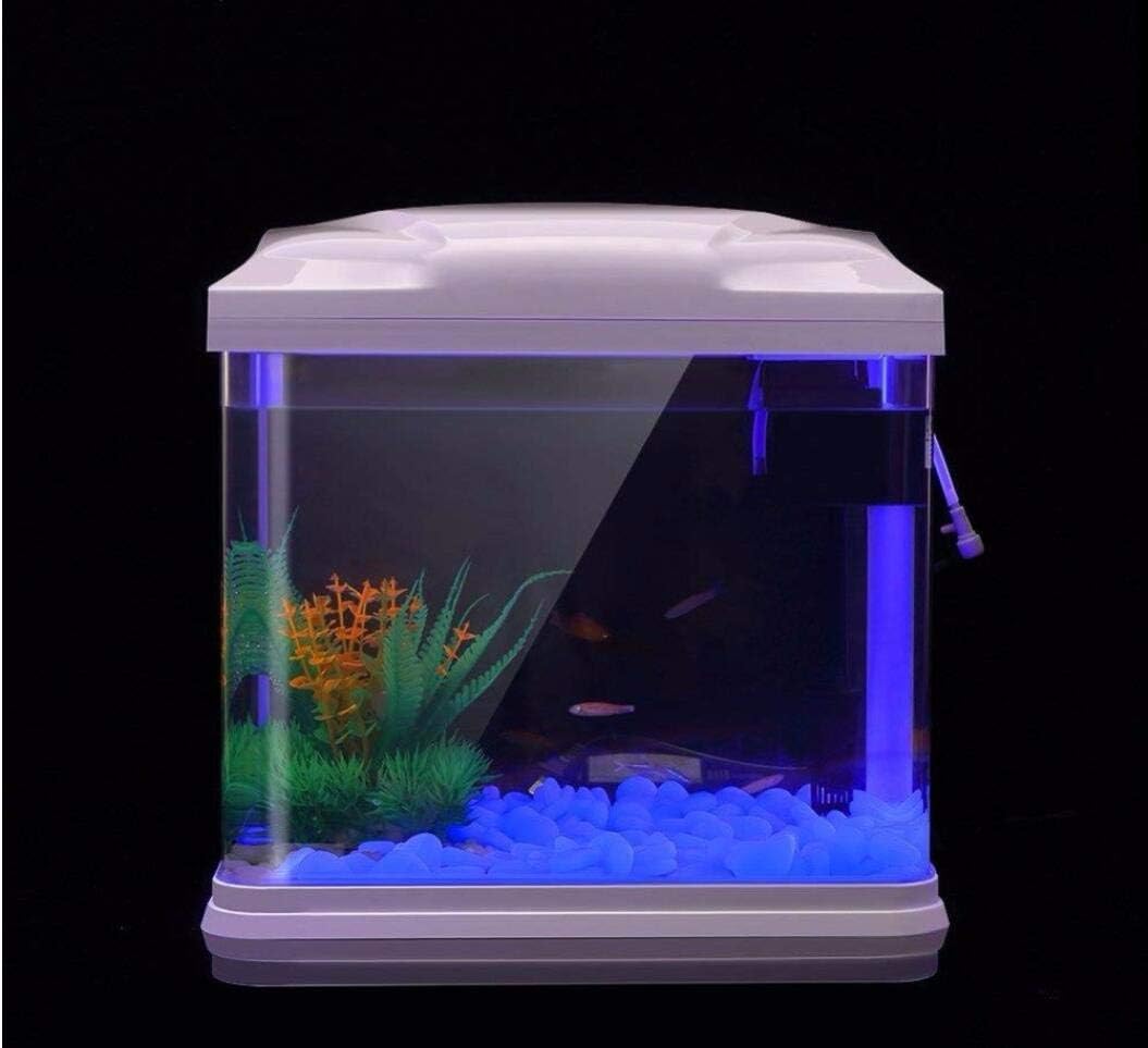 حوض السمك الصخور توهج الحصى ال - مراجعة Aquarium Planted Fish Tank وسعره