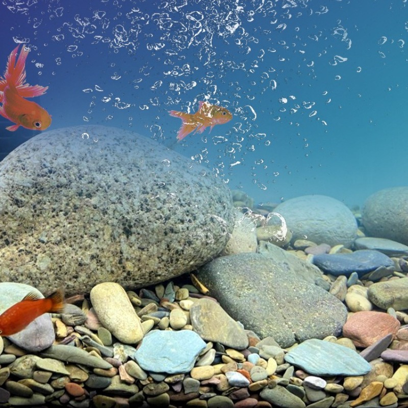 حصى نهري لتزيين قاع أحواض السم - مراجعة Aquarium Planted Sand وسعره
