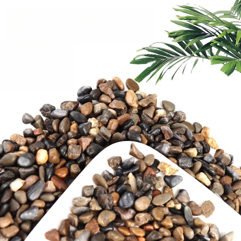 حصى نهري لتزيين قاع أحواض السم - مراجعة Aquarium Planted Sand وسعره