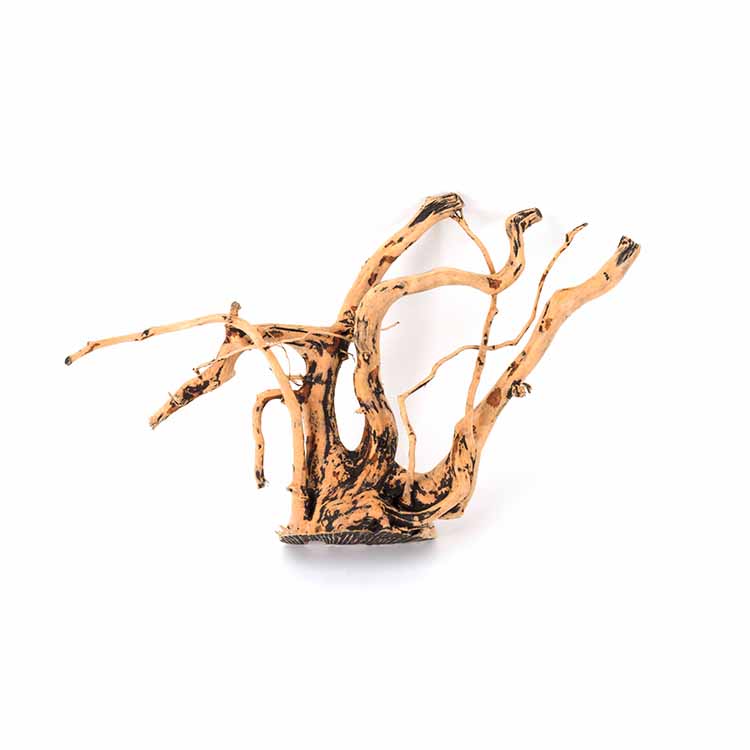 بيع بالجملة للزينة الطبيعية لح - مراجعة Aquarium Plants For Sale وسعره