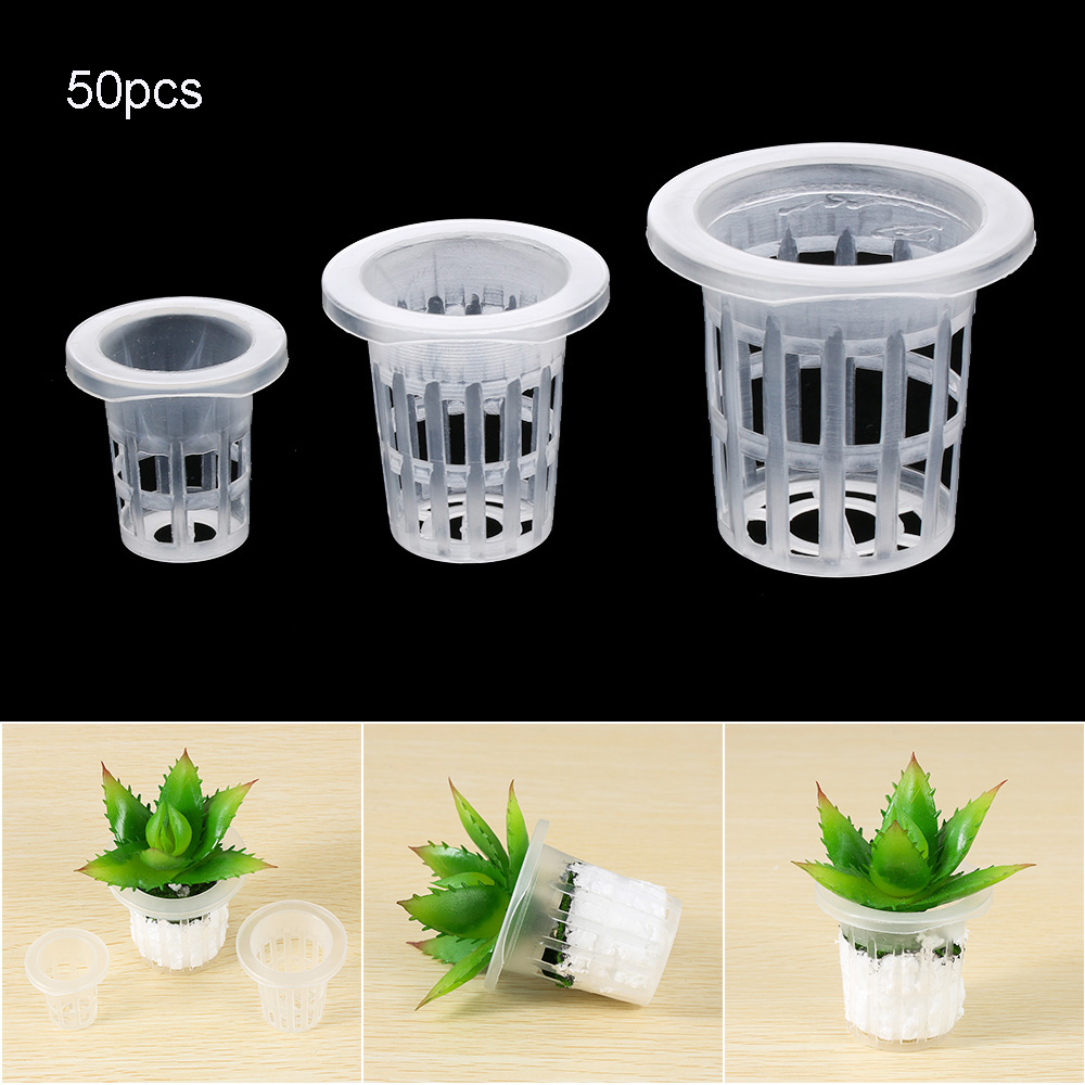 10/50 قطعة لوازم الحدائق حوض ا - مراجعة Aquarium Planted Seeds وسعره