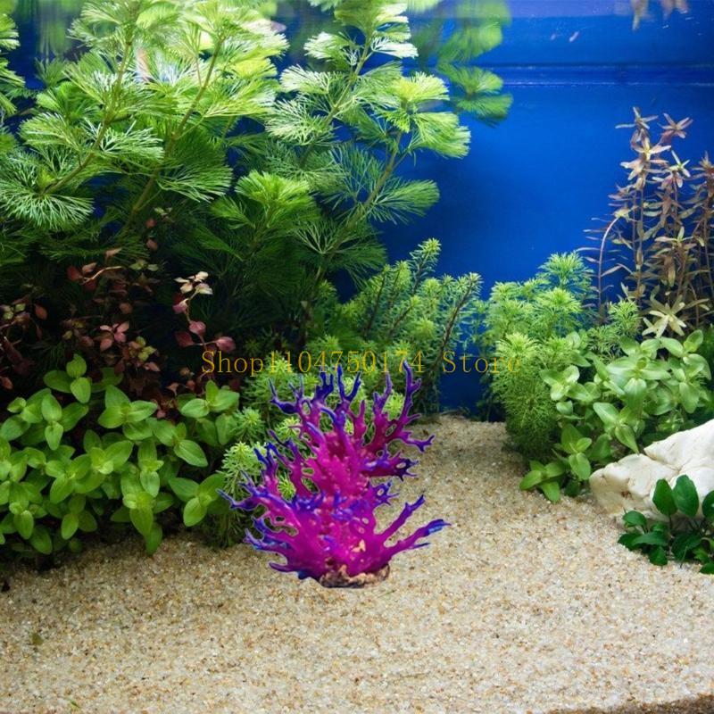 شجرة زينة اصطناعية نبات زينة ش - مراجعة Aquarium Plants For Sale وسعره