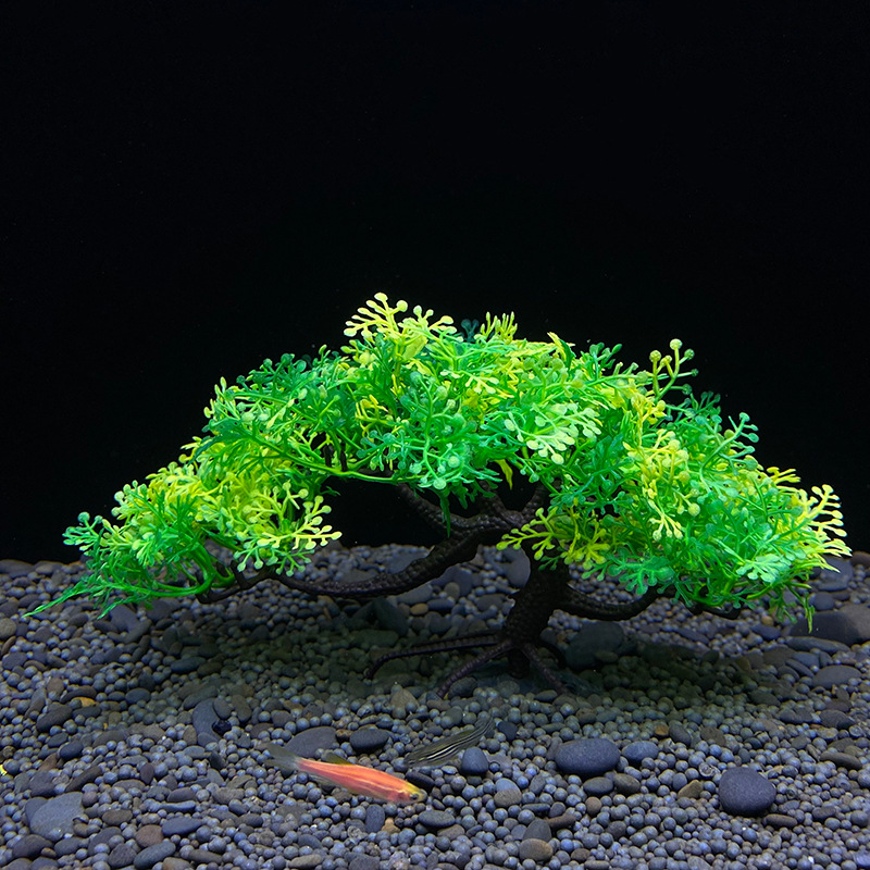 شجرة بونساي لحوض السمك ، ديكور - مراجعة Aquarium Planted Seeds وسعره