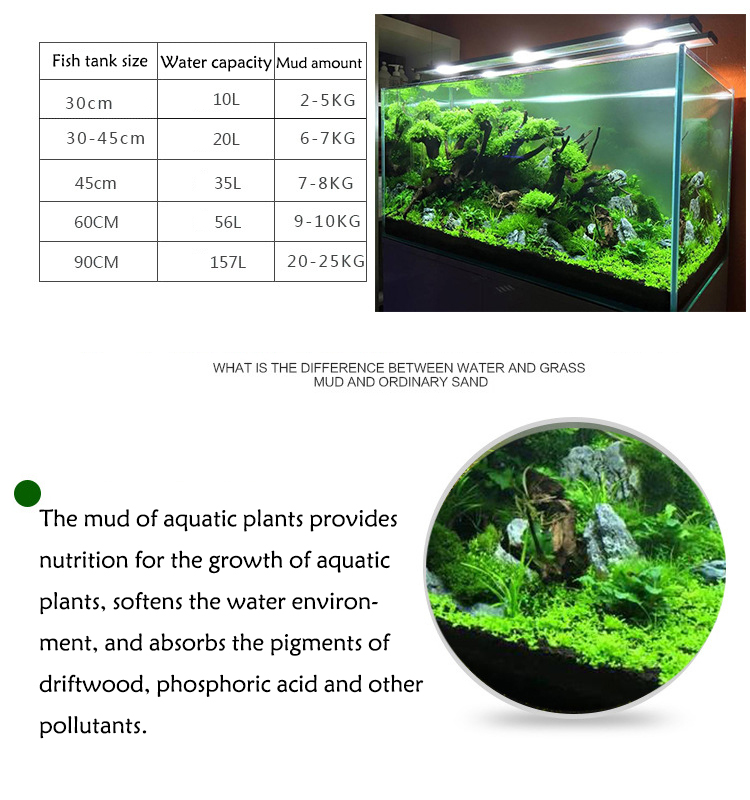 نباتات أحواض السمك ، التربة ،  - مراجعة Aquarium Planted Fish Tank وسعره
