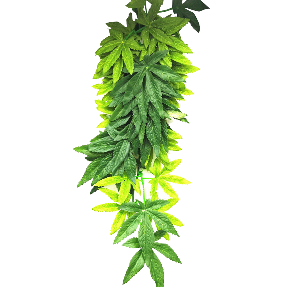 حار بيع 30/40/50 سنتيمتر حوض ا - مراجعة Aquarium Plants For Sale وسعره