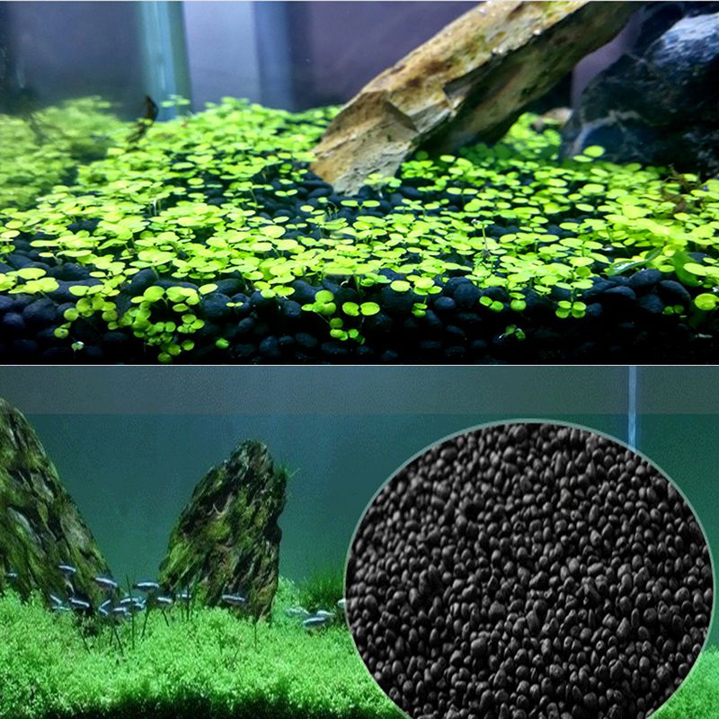 رمال السمك Auarium الركيزة 100 - مراجعة Aquarium Planted Sand وسعره