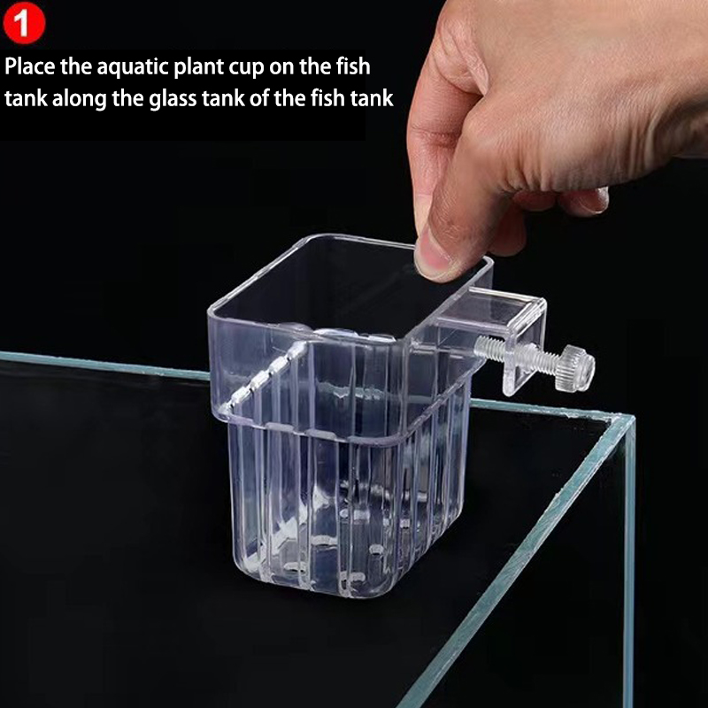 حوض السمك متعدد الوظائف ، كوب  - مراجعة Aquarium Planted Fish Tank وسعره