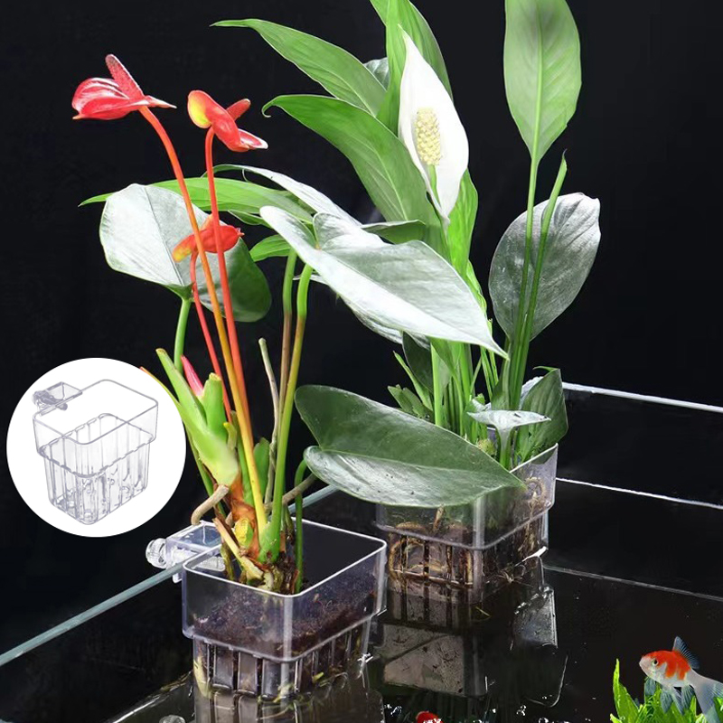 حوض السمك متعدد الوظائف ، كوب  - مراجعة Aquarium Planted Fish Tank وسعره