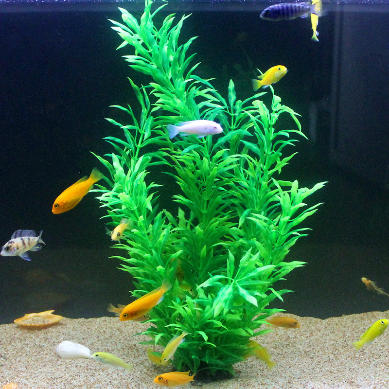 نباتات اصطناعية نادرة لأحواض ا - مراجعة Aquarium Planted Fish Tank وسعره