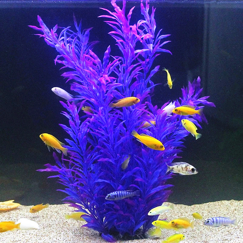 نباتات اصطناعية نادرة لأحواض ا - مراجعة Aquarium Planted Fish Tank وسعره