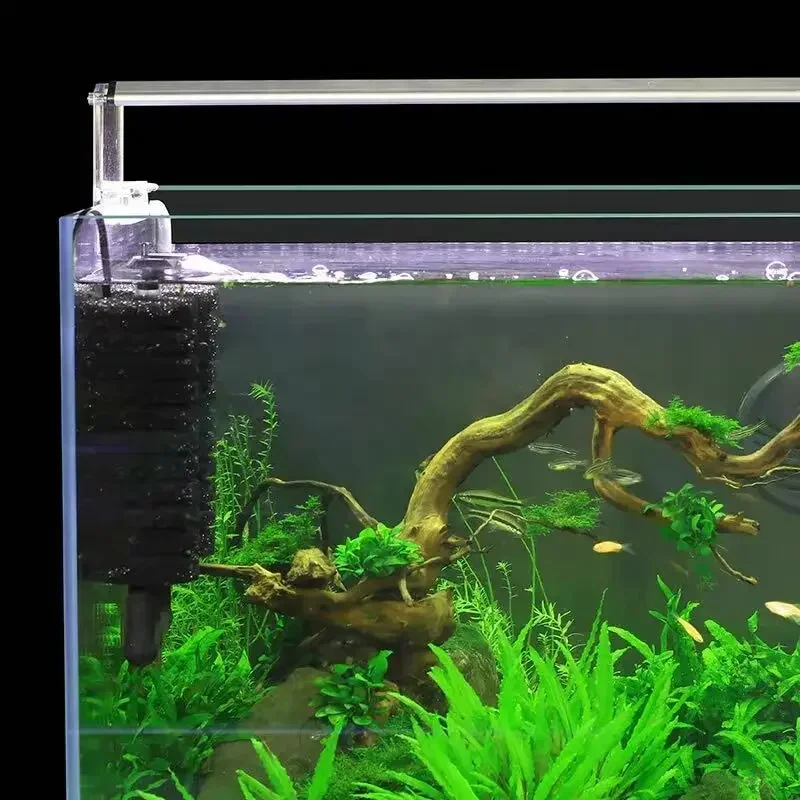 3-IN-1 كليب على الطاقة الكهربا - مراجعة Planted Aquarium Media وسعره