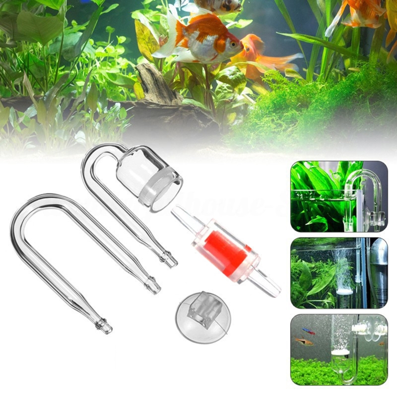 ناشر CO2 لحوض السمك ، خزان زجا - مراجعة Planted Aquarium Moss وسعره