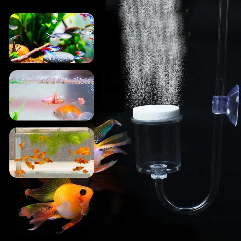 ناشر CO2 لحوض السمك ، خزان زجا - مراجعة Planted Aquarium Moss وسعره