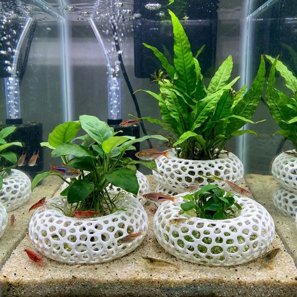 نفق إخفاء للأسماك والروبيان مط - مراجعة Planted Aquarium Moss وسعره