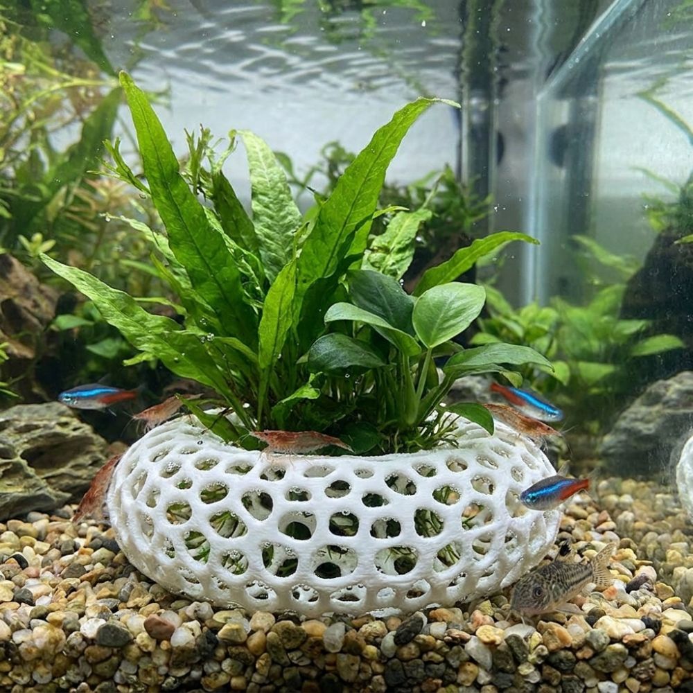 نفق إخفاء للأسماك والروبيان مط - مراجعة Planted Aquarium Moss وسعره