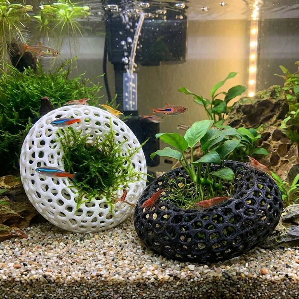 نفق إخفاء للأسماك والروبيان مط - مراجعة Planted Aquarium Moss وسعره